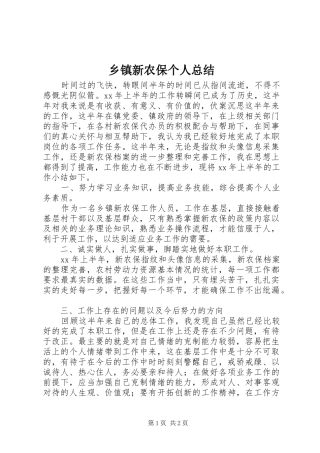 2024年乡镇新农保个人总结
