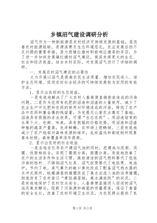 2024年乡镇沼气建设调研分析