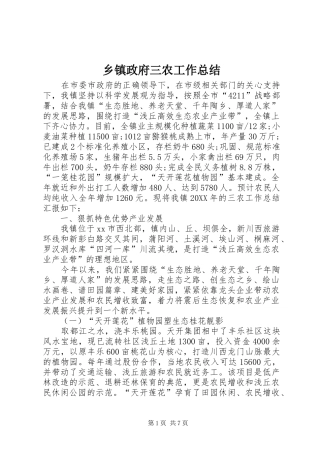 2024年乡镇政府三农工作总结