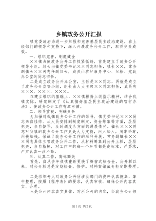 2024年乡镇政务公开汇报