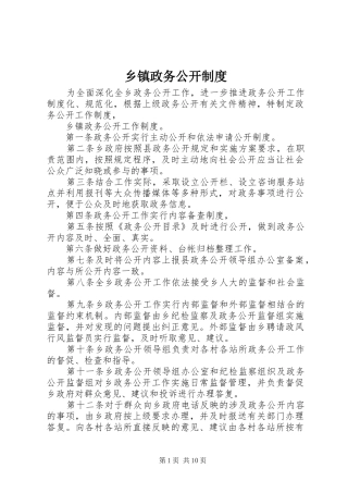 2024年乡镇政务公开制度