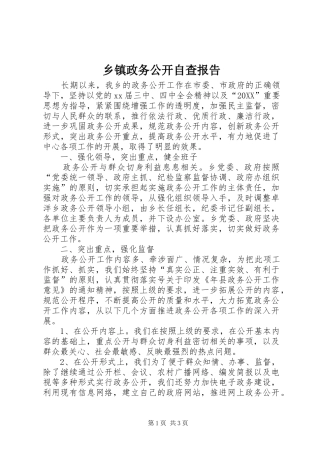 2024年乡镇政务公开自查报告