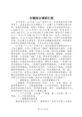 2024年乡镇综合调研汇报