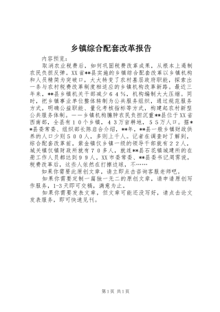 2024年乡镇综合配套改革报告