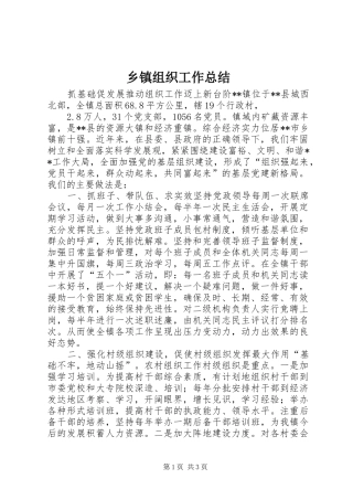 2024年乡镇组织工作总结