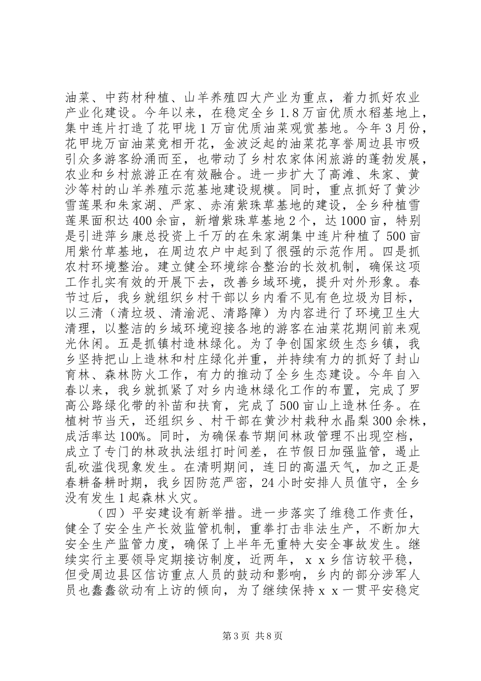 2024年乡政府年度工作总结_第3页