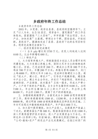2024年乡政府年终工作总结