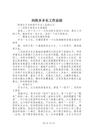 2024年向阳乡乡长工作总结