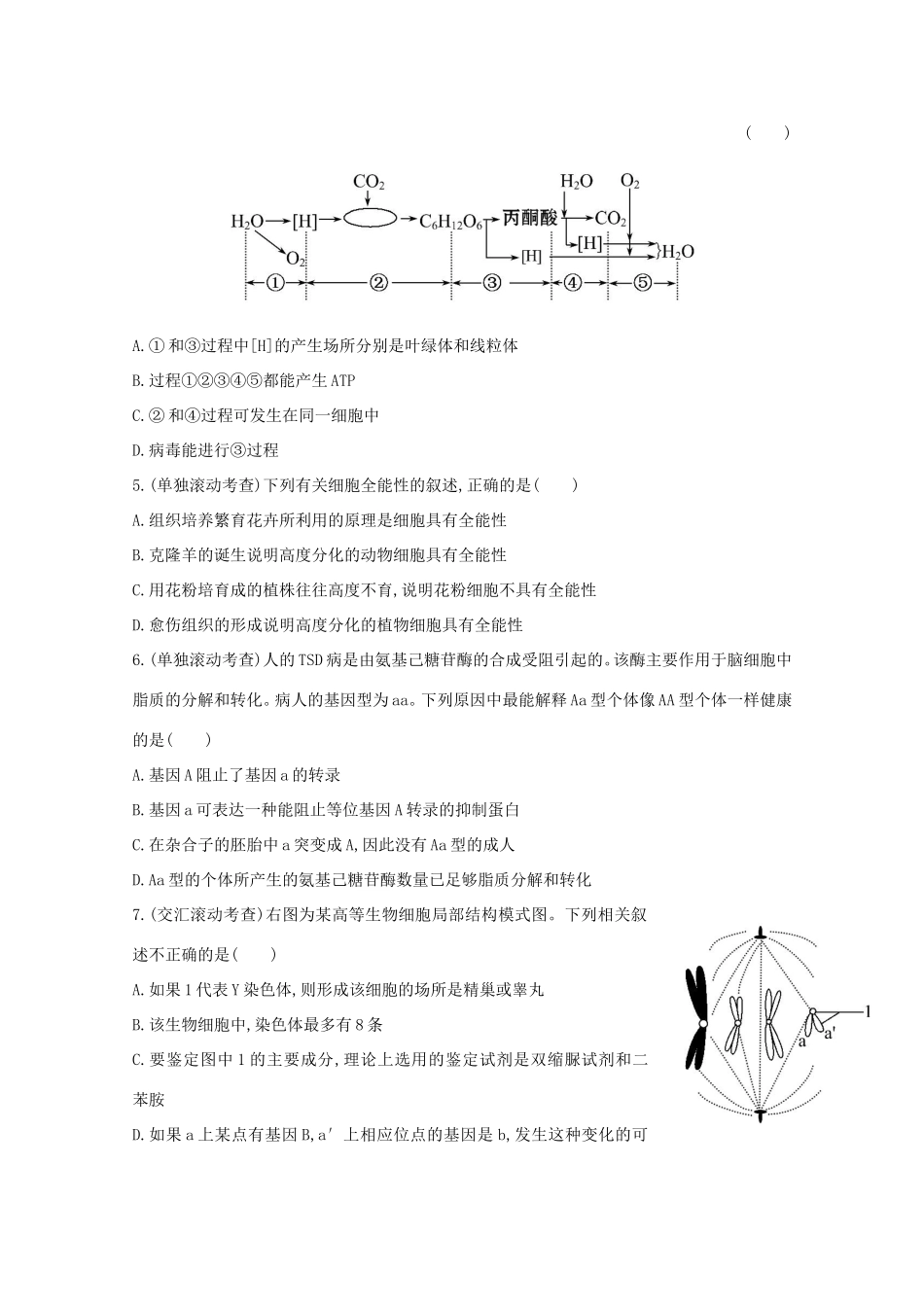 （福建专用）高中生物 阶段滚动检测（四）_第2页