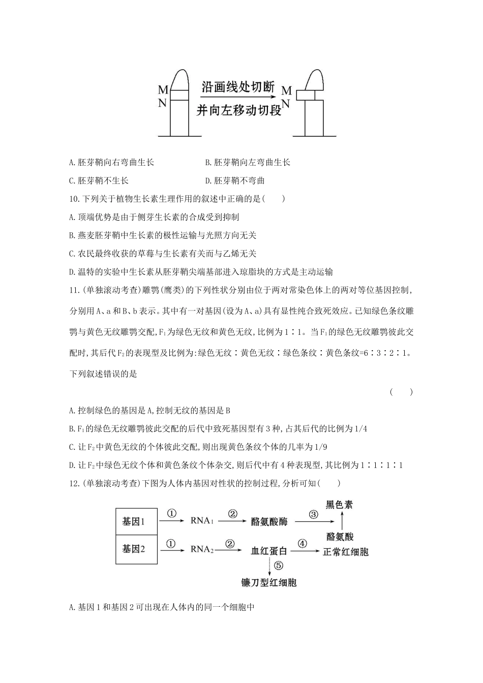 （福建专用）高中生物 阶段滚动检测（五）_第3页