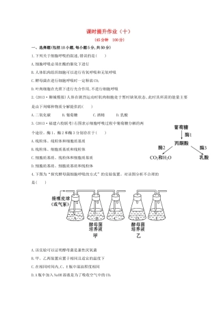 （福建专用）高中生物 课时提升作业（十）