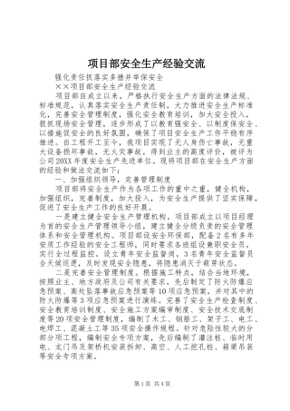 2024年项目部安全生产经验交流