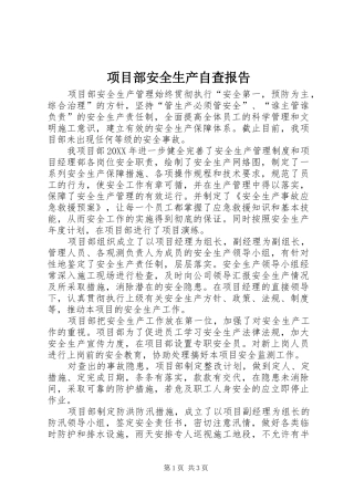 2024年项目部安全生产自查报告