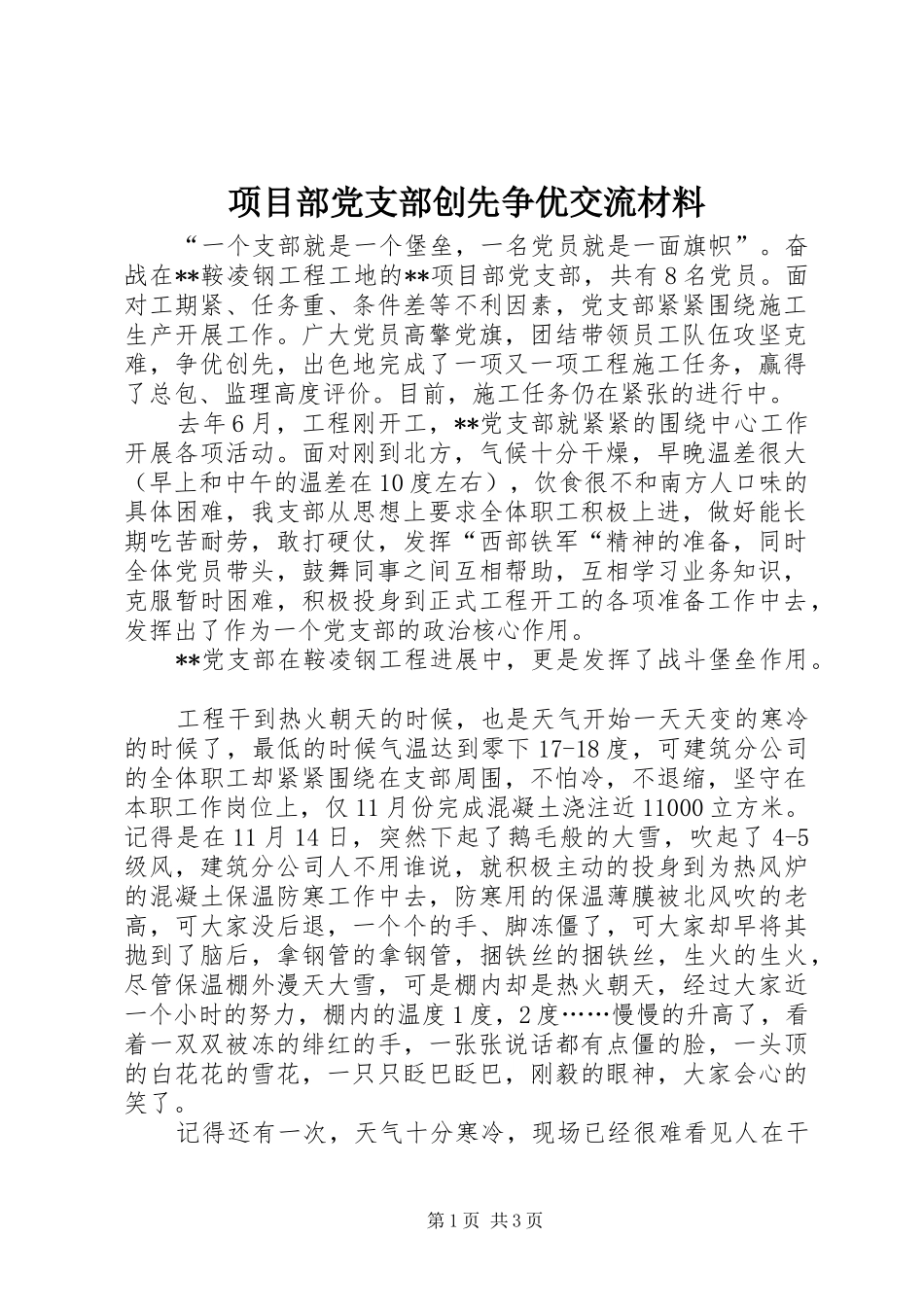 2024年项目部党支部创先争优交流材料_第1页