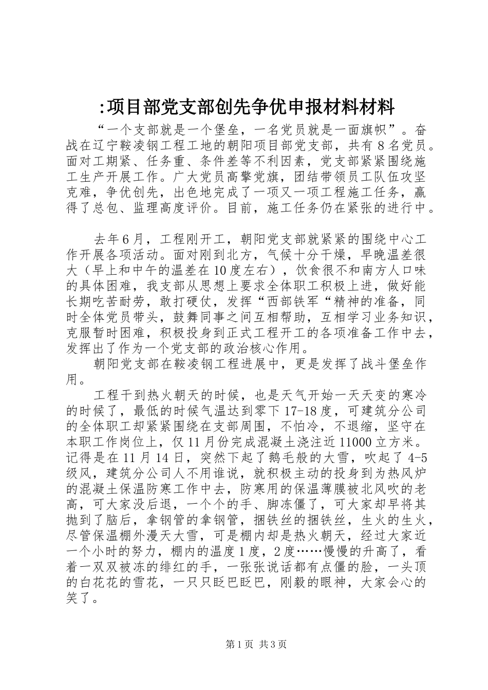 2024年项目部党支部创先争优申报材料材料_第1页