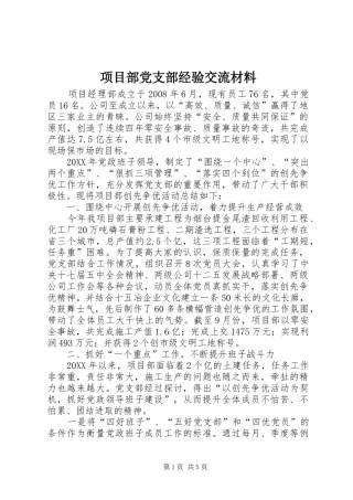 2024年项目部党支部经验交流材料