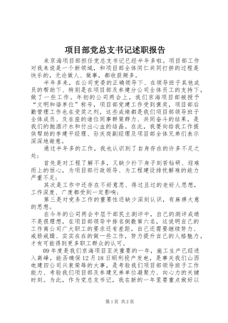 2024年项目部党总支书记述职报告