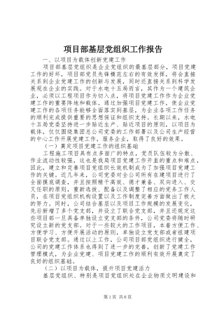 2024年项目部基层党组织工作报告