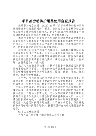 2024年项目部劳动防护用品使用自查报告