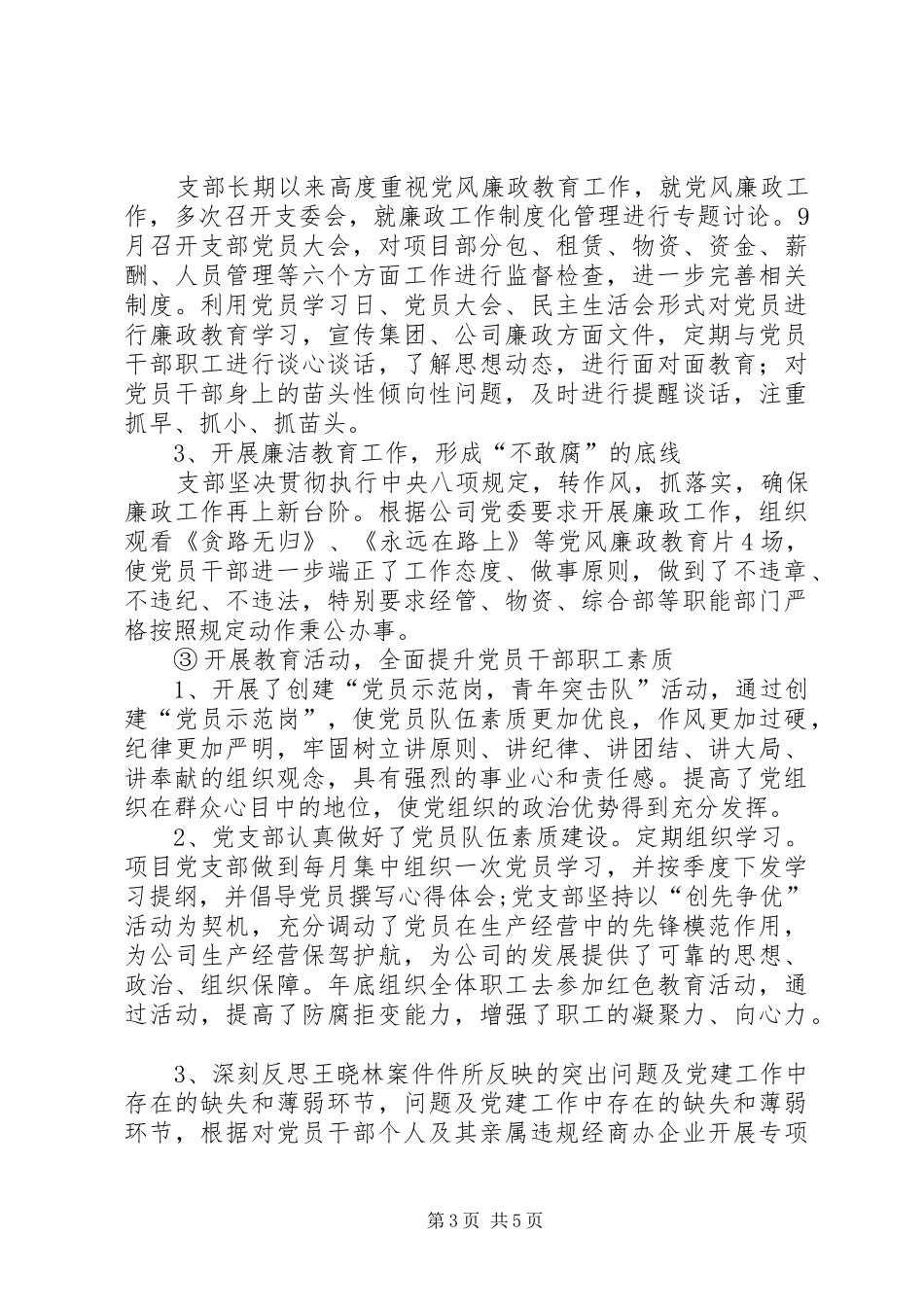 2024年项目部临时党支部书记述职报告_第3页