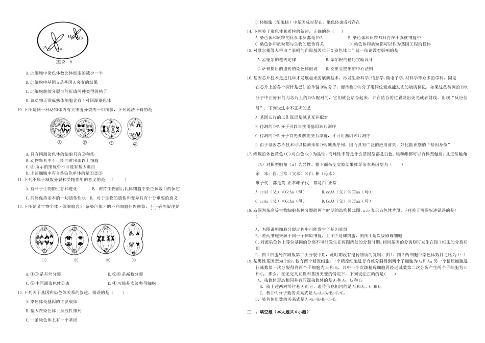 （衡水万卷）高三生物二轮复习 周测卷（八）基因和染色体的关系（含解析）-人教版高三生物试题_第2页