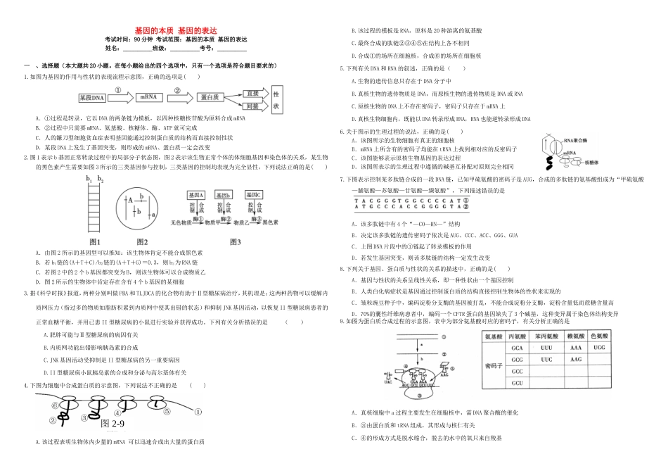 （衡水万卷）高三生物二轮复习 周测卷（十）基因的本质 基因的表达（含解析）-人教版高三生物试题_第1页