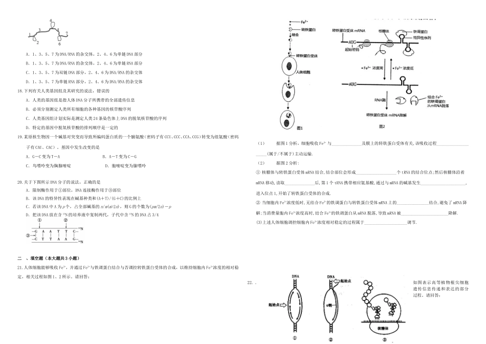 （衡水万卷）高三生物二轮复习 周测卷（十）基因的本质 基因的表达（含解析）-人教版高三生物试题_第3页