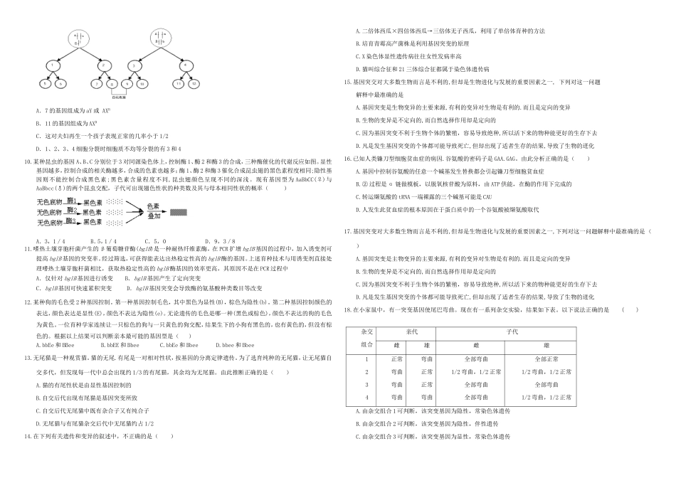 （衡水万卷）高三生物二轮复习 作业卷（二十）基因突变和基因重组（含解析）-人教版高三生物试题_第2页