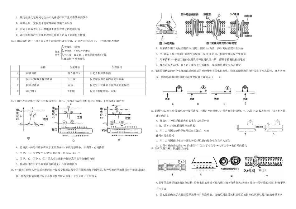 （衡水万卷）高三生物二轮复习 作业卷（二十四）神经系统的调节（含解析）-人教版高三生物试题_第2页