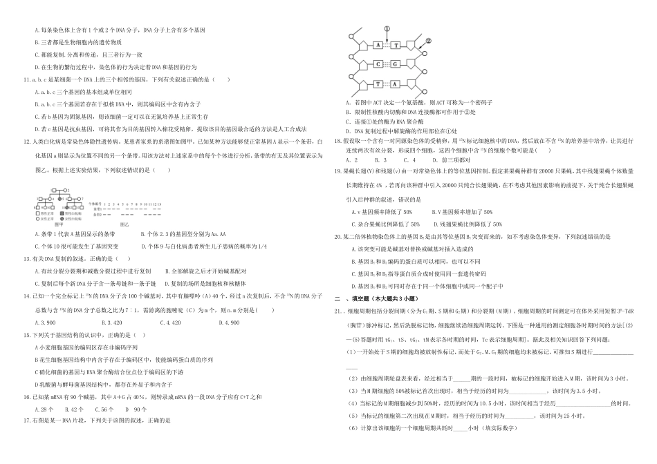 （衡水万卷）高三生物二轮复习 作业卷（十八）DNA的复制 基因是有遗传效应的DNA片段（含解析）-人教版高三生物试题_第2页
