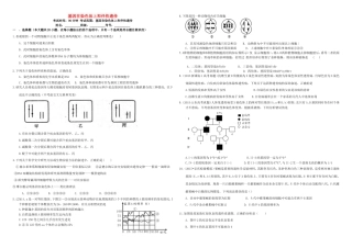 （衡水万卷）高三生物二轮复习 作业卷（十六）基因在染色体上和伴性遗传（含解析）-人教版高三生物试题