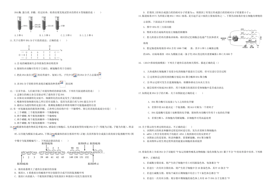 （衡水万卷）高三生物二轮复习 作业卷（十七）DNA是主要的遗传物质 DNA分子结构（含解析）-人教版高三生物试题_第2页