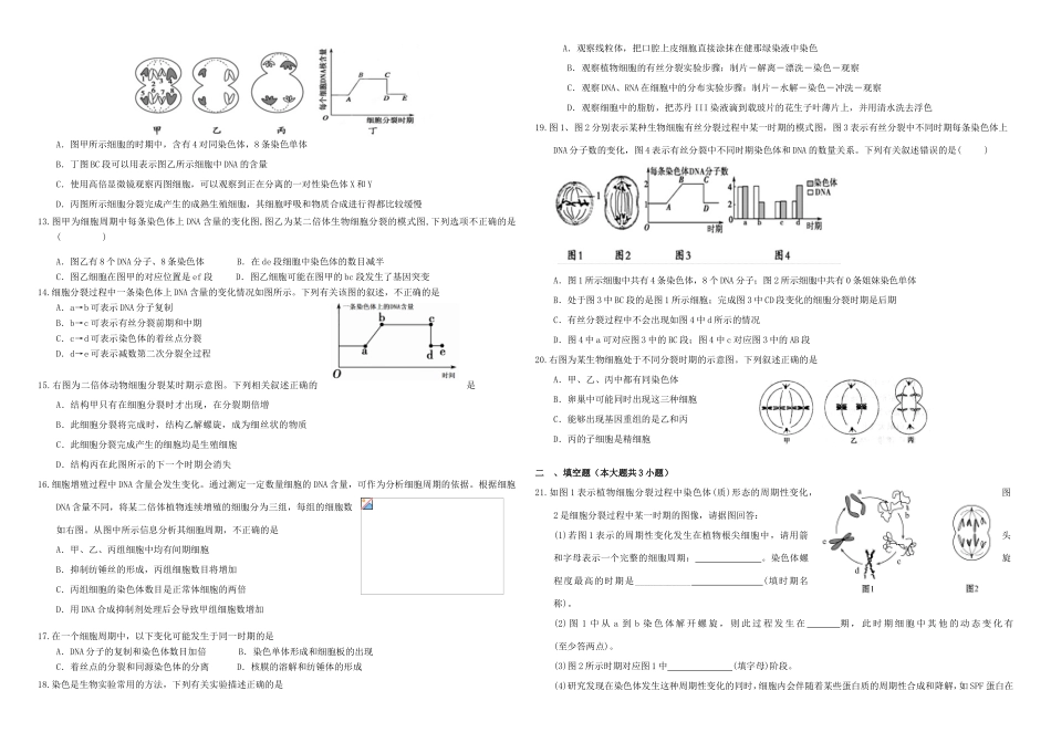 （衡水万卷）高三生物二轮复习 作业卷（十一）细胞的增殖（有丝分裂）（含解析）-人教版高三生物试题_第2页