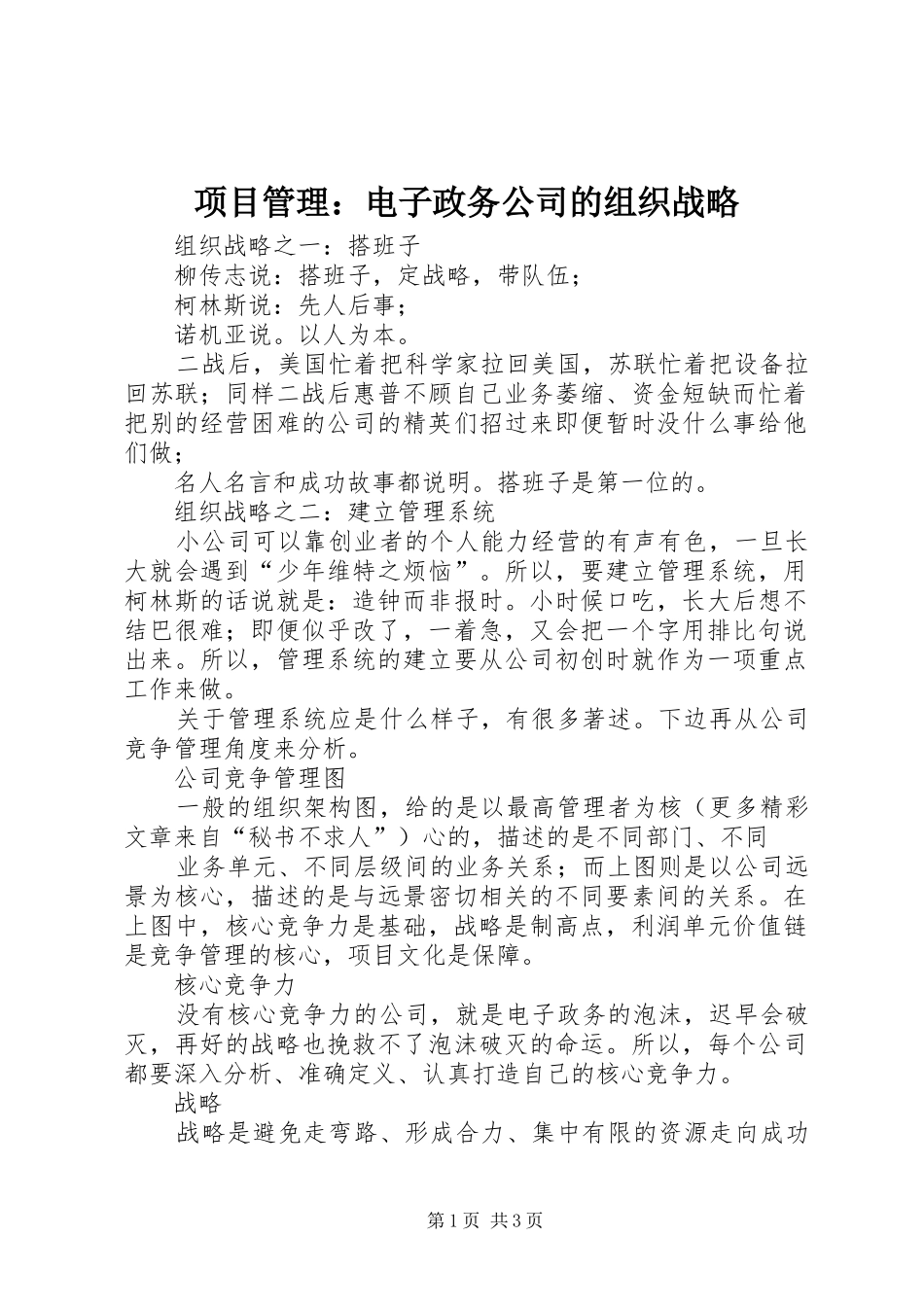 2024年项目管理电子政务公司的组织战略_第1页