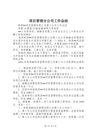 2024年项目管理分公司工作总结