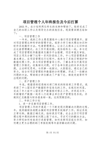 2024年项目管理个人年终报告及今后打算