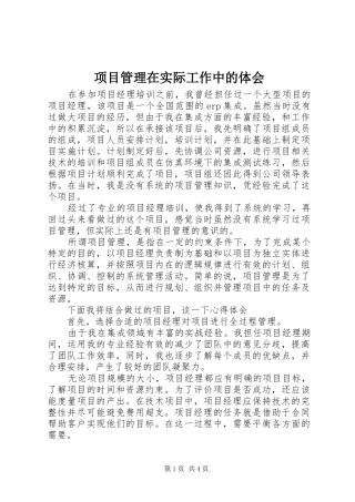2024年项目管理在实际工作中的体会