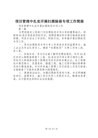 2024年项目管理中扎实开展扫黑除恶专项工作简报