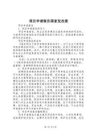 2024年项目申请报告国家发改委