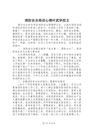 2024年消防安全培训心得叶武华范文