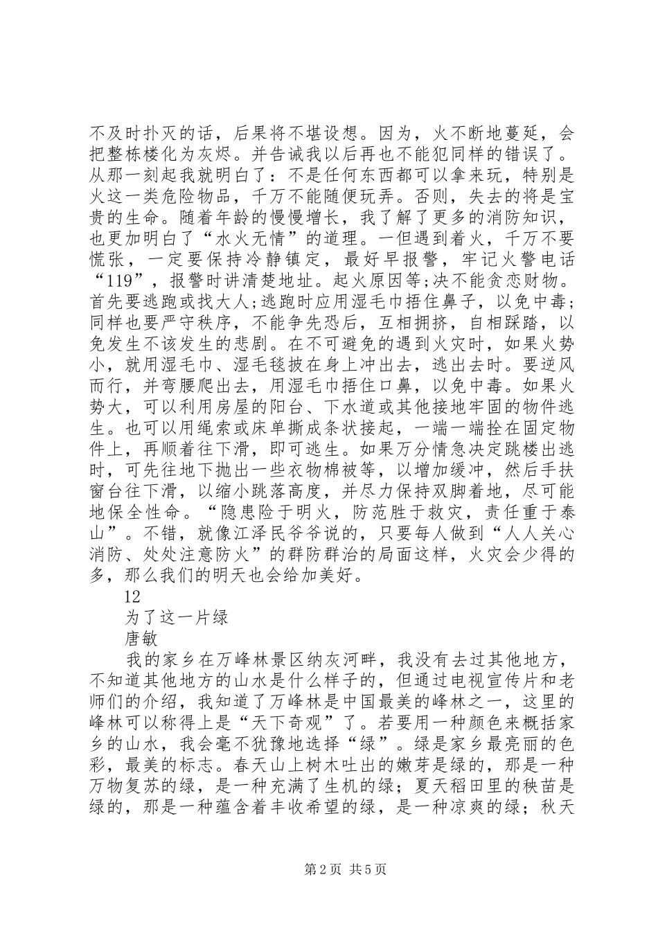 2024年消防安全征文消防安全伴我行_第2页