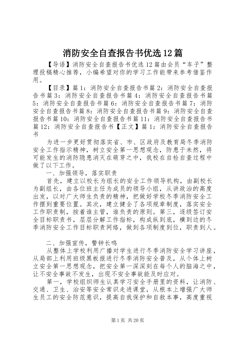 2024年消防安全自查报告书优选篇_第1页