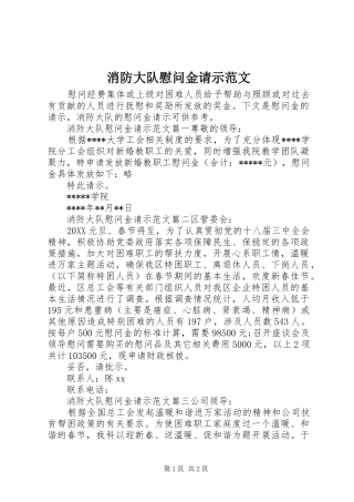 2024年消防大队慰问金请示范文