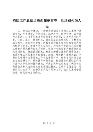 2024年消防工作总结点苍西麓献青春赴汤蹈火为人民