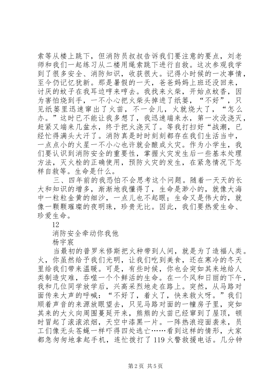 2024年消防宣传征文对消防安全教育的思考_第2页