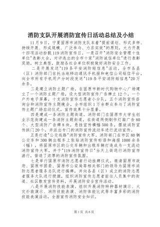 2024年消防支队开展消防宣传日活动总结及小结