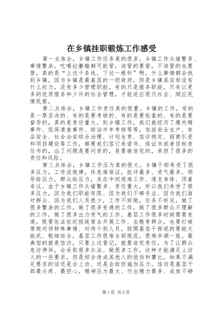 2024年在乡镇挂职锻炼工作感受