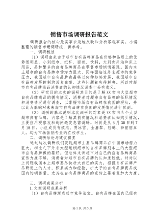 2024年销售市场调研报告范文