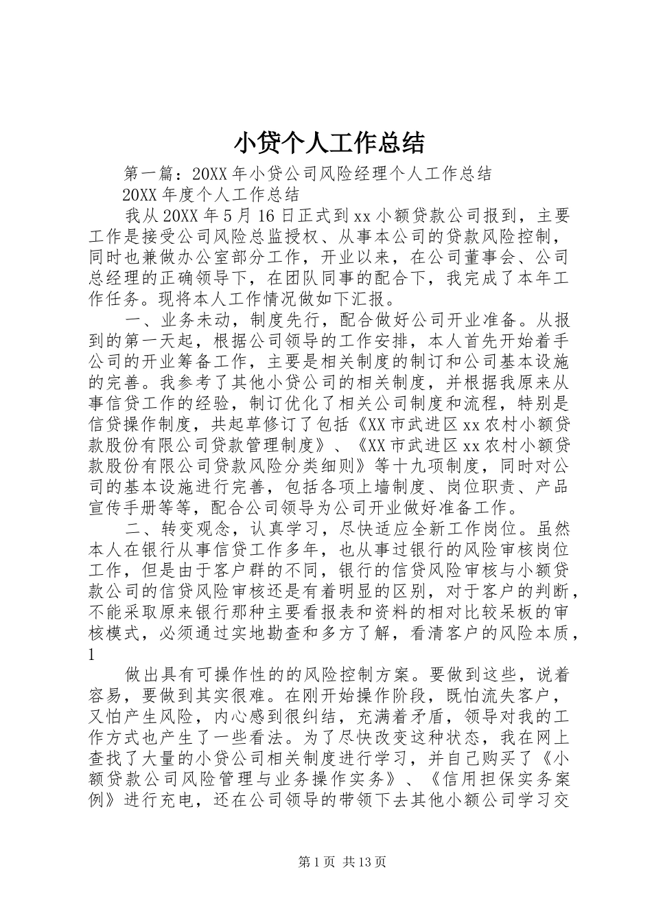 2024年小贷个人工作总结_第1页