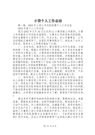 2024年小贷个人工作总结